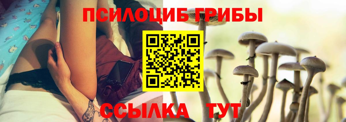 Братск  Псилоцибиновые грибы GOLDEN TEACHER  Псилоцибиновые грибы Cubensis  Вход с VPN 